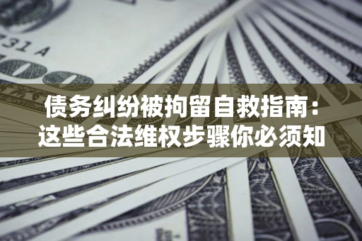 北京债务纠纷被拘留自救指南：这些合法维权步骤你必须知道！