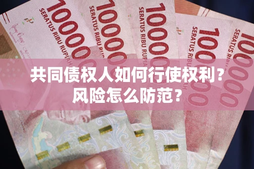 北京共同债权人如何行使权利？风险怎么防范？