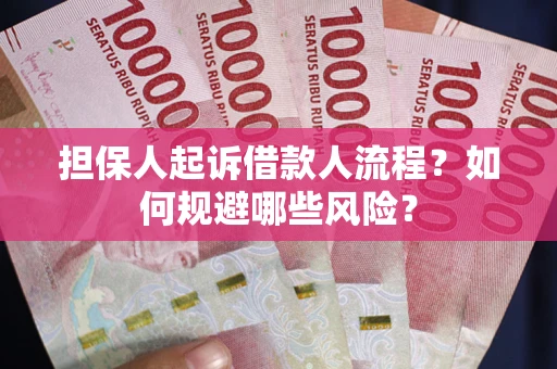 北京担保人起诉借款人流程？如何规避哪些风险？