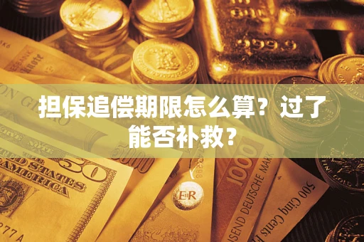 北京担保追偿期限怎么算？过了能否补救？